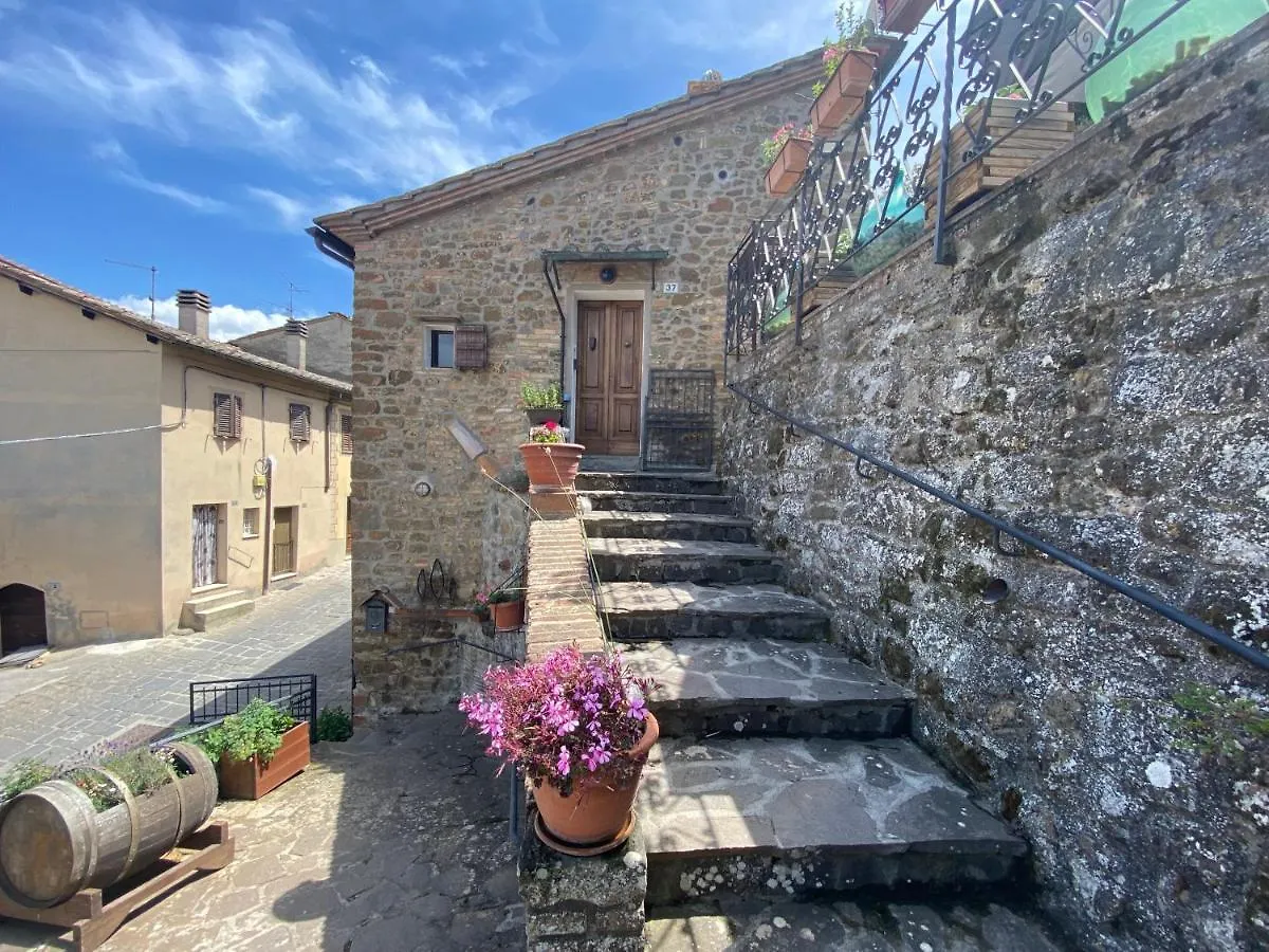 Holiday home Panoramic Nest In Montalcino Villa